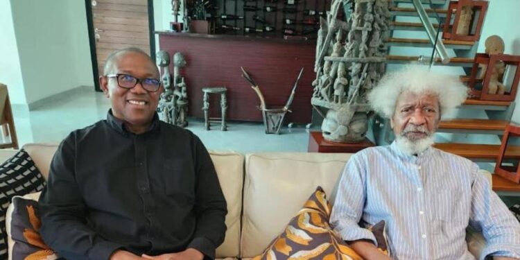 Soyinka: I didn’t Meet Peter Obi For Reconciliation, Rather He Apologised