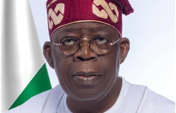 Official Pre-Inauguration Portraits Of Tinubu And Shettima Released (Photos)