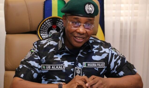 May 29 Presidential Inauguration Cannot Be Stopped – IGP