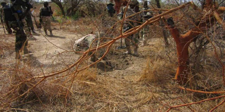 Two ISWAP Terrorists Dead, Others Injured In Sambisa Forest Crash