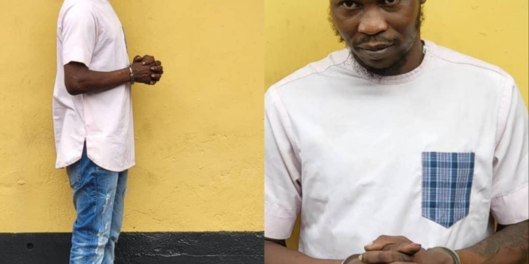 Why We Handcuffed Seun Kuti – Police