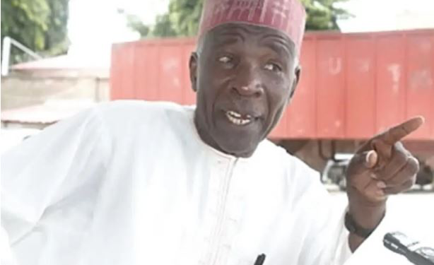 NNPP Doesn’t Have Money To Challenge Tinubu’s Victory – Buba Galadima
