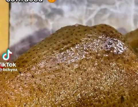 Lady Shares Video Of An Odd-looking Kpomo She Bought (Video)