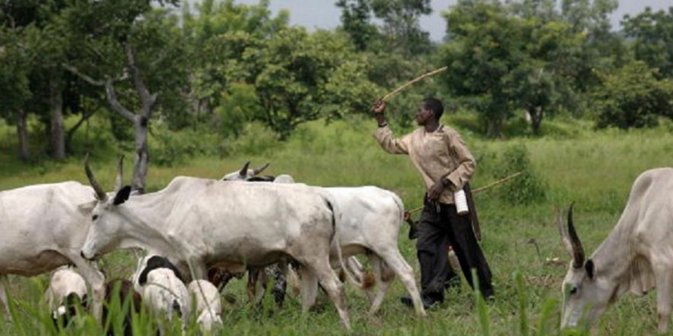 Suspected Herdsmen Kill Vigilante, Injure Another In Delta Community