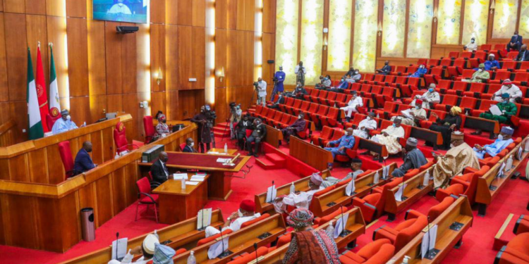 #ENDSARS: Senate Passes Bill To Compensate Victims