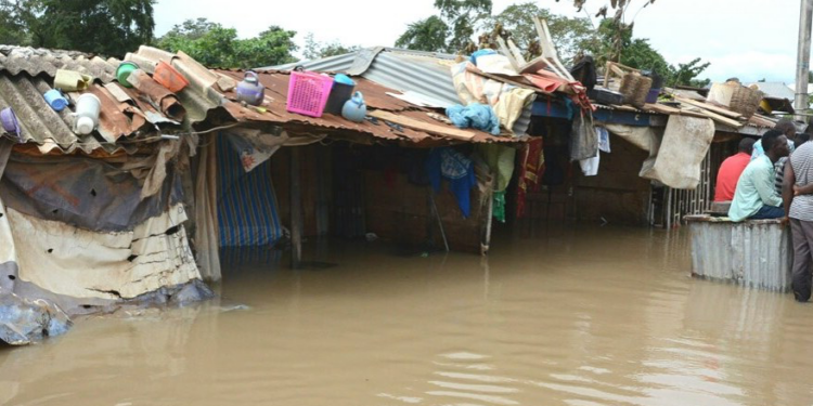 Pregnant Woman, 9 Others Injured As Rainstorm Wreaks Havoc In Bauchi