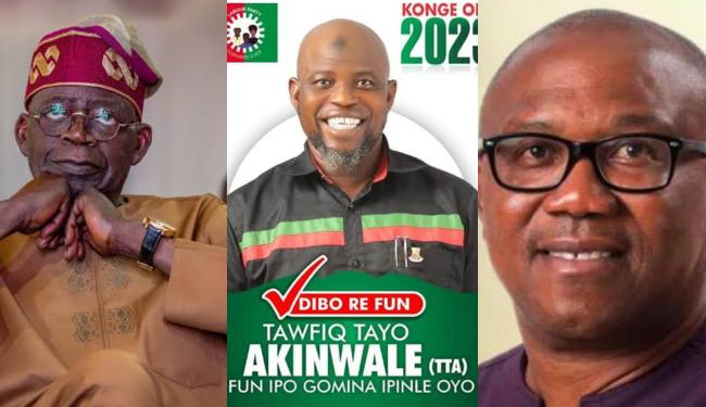 Tinubu Used Pat Utomi To Fund Peter Obi’s Campaign – Tawfiq Akinwale