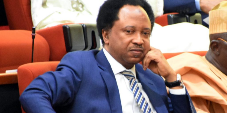 Buhari Has Set Traps For Tinubu – Shehu Sani Claims