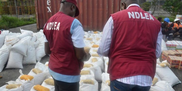 NDLEA Operatives Arrest 25 Drug Suspects In Abuja