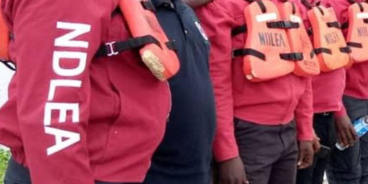 NDLEA Arrests 34 Drug Suspects In FCT