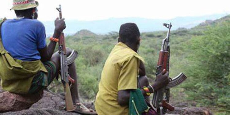 Bandits Exposed After Sending One of Their Abductees To Buy Fuel In Niger