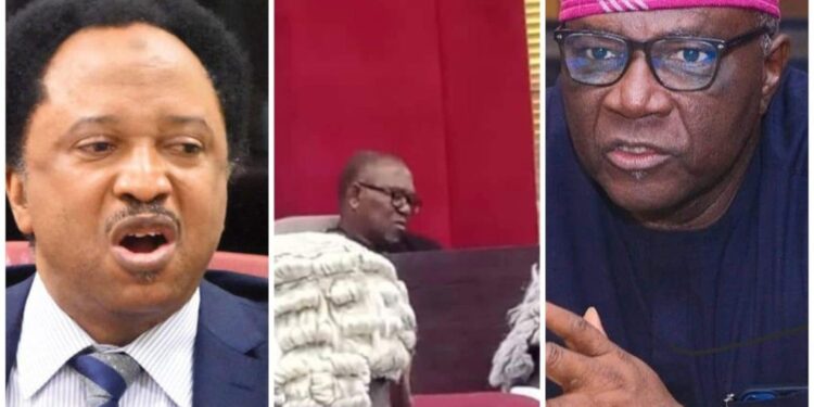 Shehu Sani Reacts As Onanuga Shares Photo Of Peter Obi Purportedly Sleeping In Court