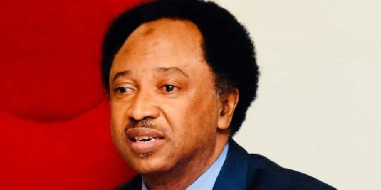 Shehu Sani Reacts To AG’s Revelation Of ₦1 Trillion Fraud In MDAs