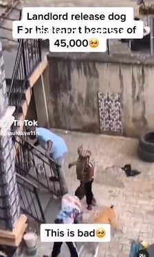 Landlord Unleashes His Dog On His Tenant Over N45,000 Debt (Video)