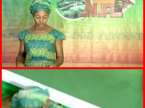 Embarrassing Moment NTA’s Wooden Backdrop Falls On Presenter On Live TV (Video)
