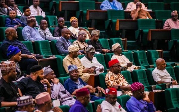Remove Subsidy On All Petroleum Products – Reps Tell FG