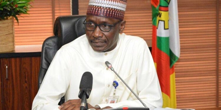 Tinubu Has Ordered Palliatives To Cushion Effects Of Subsidy Removal – Kyari 