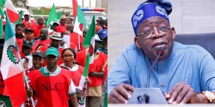 No Going Back On Proposed Nationwide Strike – NLC 