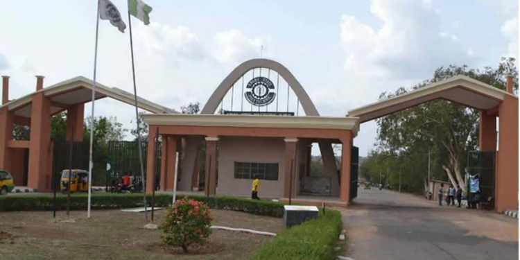 Cultism: Kwara Poly Withdraws Student’s HND Certificate