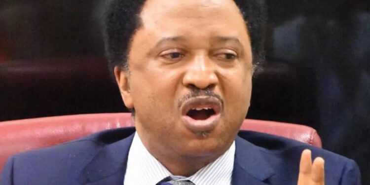 Tinubu Has Dodged Poisonous Knife By Not Appointing El-rufai – Shehu Sani Mocks