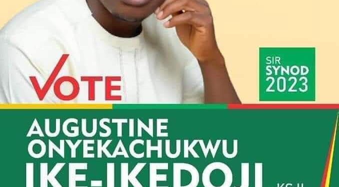 Panic In Anambra Assembly As DSS Operatives Try To Whisk Away Member-elect
