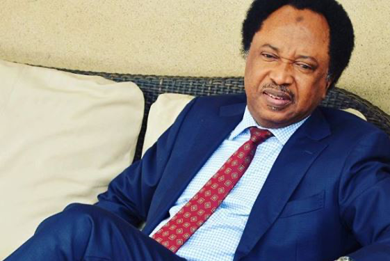 Emefiele’s Sack Is Commendable, He Ran CBN Like Cabal’s ATM And Canteen — Shehu Sani
