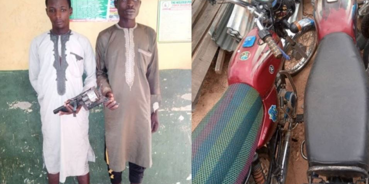 Two Arrested As Police Foil Armed Robbery Attack In Jigawa