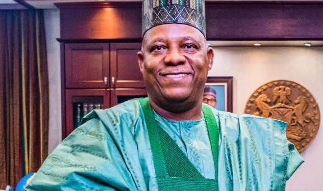 My advocacy for power balancing twisted by mischief makers – VP Shettima 