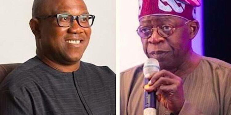 Peter Obi Knows Tinubu Is His Democratically Elected President – Bashir Ahmad