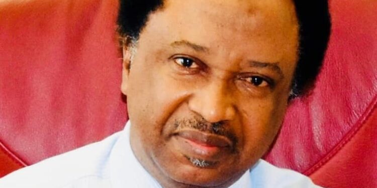 Shehu Sani Slams Tinubu, Reveals Why He’s Against Newly Signed Student Loan Bill