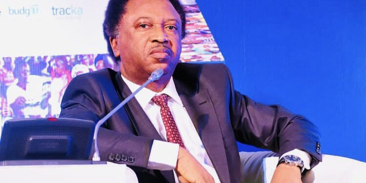 Bawa: Why Excitement Is Understandable – Shehu Sani Speaks