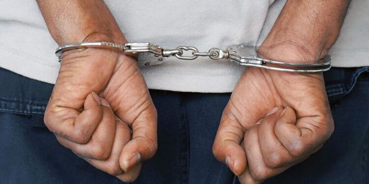 Man Arrested For Stealing A N7M Cattle In Gombe