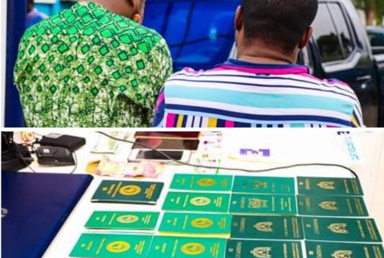 NAPTIP Busts Human Trafficking Syndicate That Specializes In Luring Nigerian Girls To India For S*xual Exploitation, Organ Harvesting