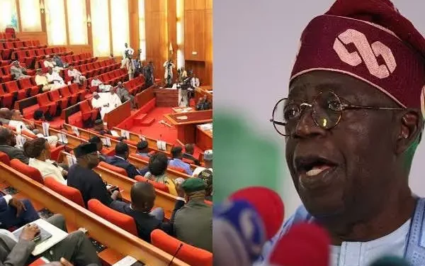 Disquiet As Lawmakers Plan To End President, Governors’ Second Term