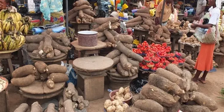 Group Raises Alarm Over Looming Food Shortage In Southwest