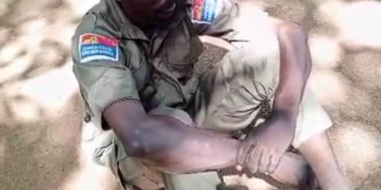 Army Captures Key Suspect Behind Deadly Taraba Community Attack (Photo)