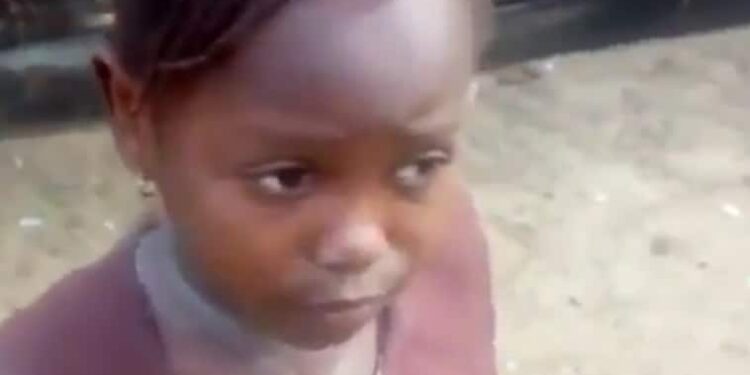 Little Sucess who went viral years ago for saying ‘dem go flog, flog, flog, dem go tire’ is all grown now (video)
