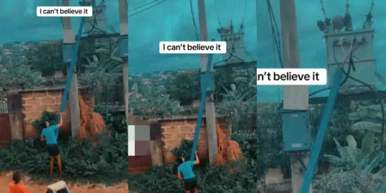 Lady risks it all to retrieve ball from transformer