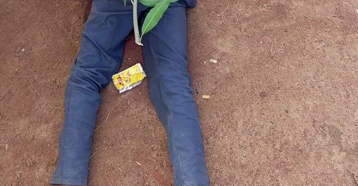 Six killed as gunmen attack Benue community