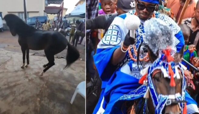 Man mourns as his popular dancing horse that went viral during the 2024 Ojude Oba festival dies (video)