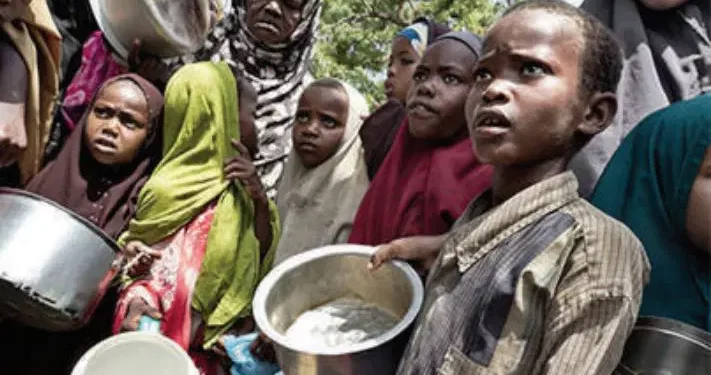 2025 Hunger Crisis Will Hit 133.1m Nigerians — FAO
