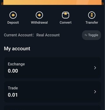 CBEX Officially Crashed. All Assets Returned To Zero (Photos)