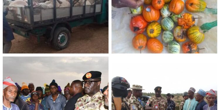 Troops intervene and prevent retaliatory attack in Plateau as 32 cows die after eating poisoned tomatoes and garden eggs