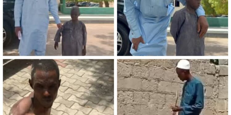 Governor Zulum orders immediate prosecution of Quranic teacher brutalising minor in viral video