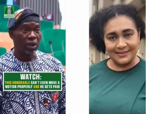 Can you all see why they don’t speak? – Actress Hilda Dokubo reacts to trending video of Nigerian House of Reps member struggling to move a motion during plenary