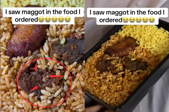 Lady cries out after finding maggot in food she ordered online