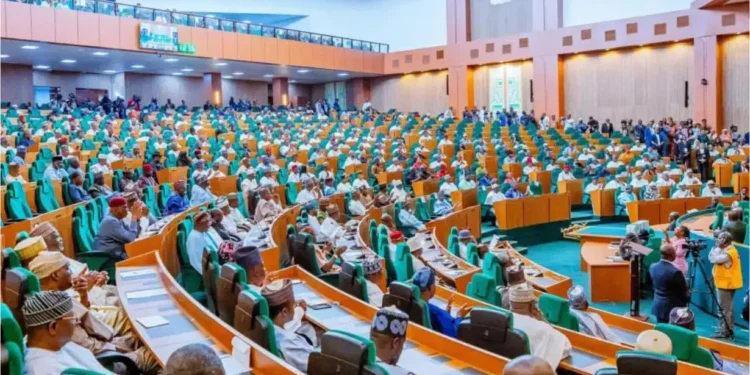 Reps panel directs Remita to refund N182bn withheld from TSA since 2015