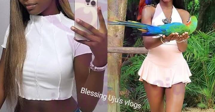 Nigerian Student, Tami Dollars, Fatally Stabbed In Texas Days To Graduation