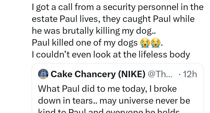 Ibadan man kills pet dog his neighbour left in his care because he wanted to eat it