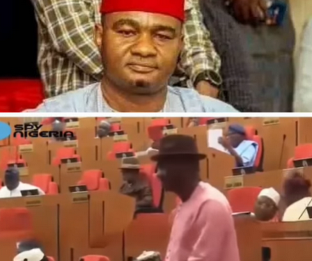 ‘They’re eyesores’ – Senator Onyekachi Nwaebonyi seeks demolition of settlements near Abuja airport (video)